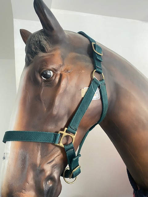 300009V - CAPEZZA IN NYLON RIVEST.INTERN.TG.PONY VERDE